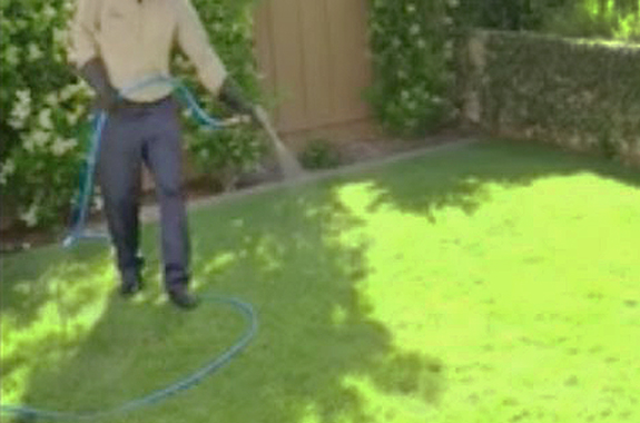 Custom Flea Treatments, Maximum control: 2 treatments for 2 weeks.