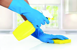 Corky's DIY Mouse Control Service