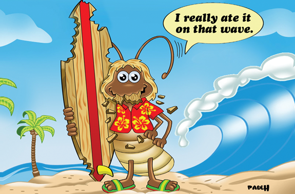 FREE Seasonal Mosquito Treatments are included with Corky’s Ultimate Pest Control Service Plan.
