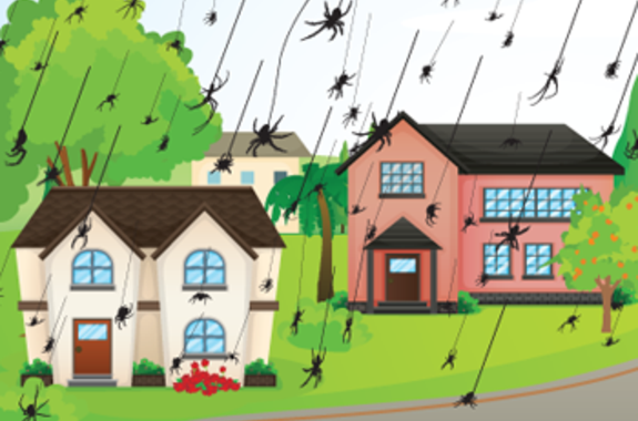 How do spiders get in your home?