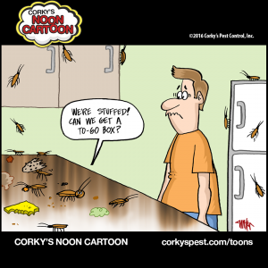 Cockroaches00004