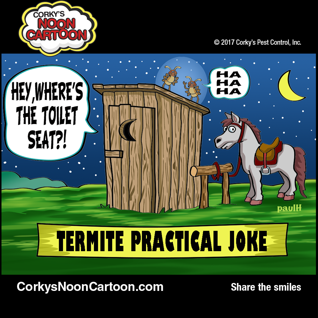 Termite Cartoons | Corky's Pest Control Services | San Diego Pest Control