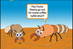 Termite Cartoons | Corky's Pest Control Services | San Diego Pest Control