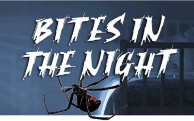 Bites in the Night