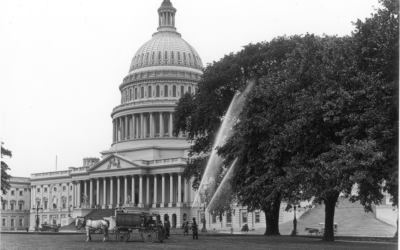 The Year is 1900 and Fear of the Mosquito “Plague” hits America!