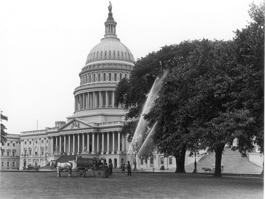 The Year is 1900 and Fear of the Mosquito “Plague” hits America!