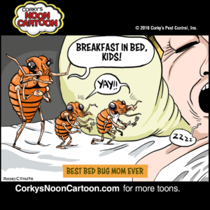 bed-bugs-breakfast-in-bed