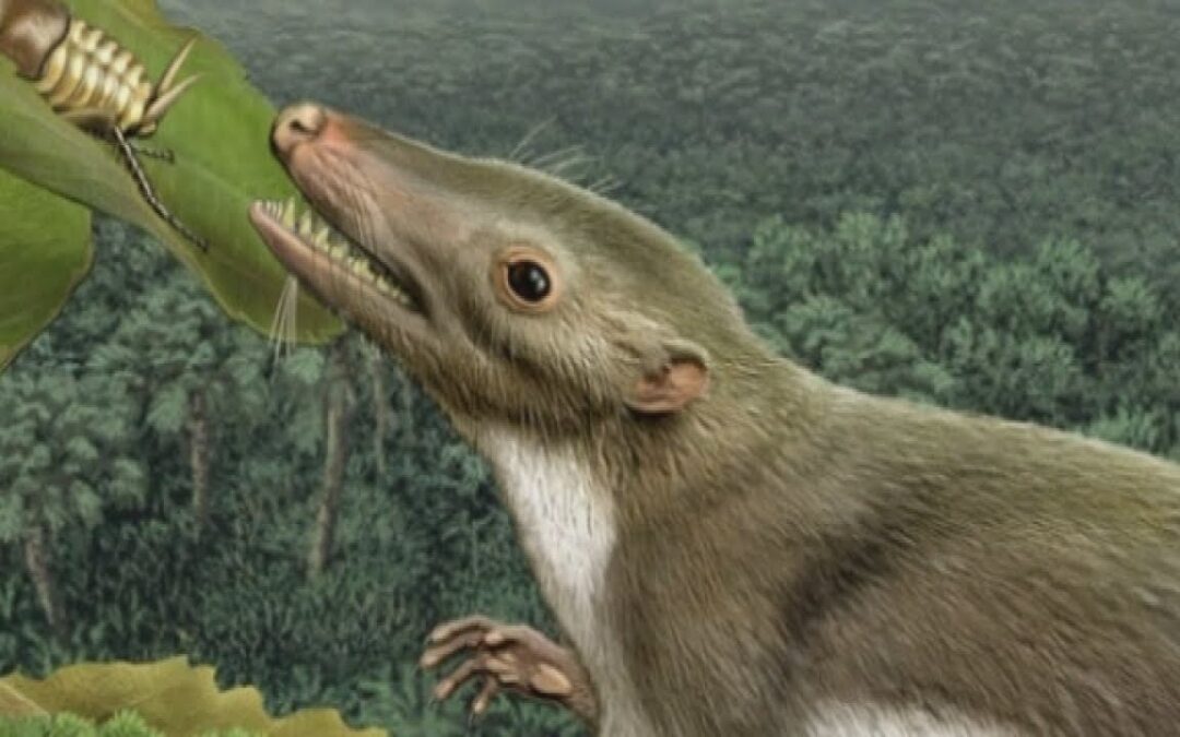 There’s a “Dirty Rat” in Man’s Family Tree