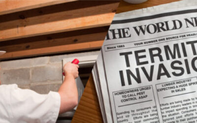 In California, There Is No Such Thing as a “Termite Season”.