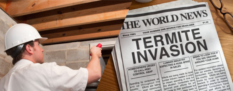 In California, there is no such thing as a "Termite Season ...