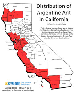 argentine_ant_large-california-map