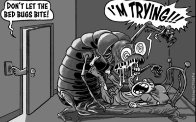 Bed Bugs:  Help!  Monsters Are Hiding Under The Bed and In It!