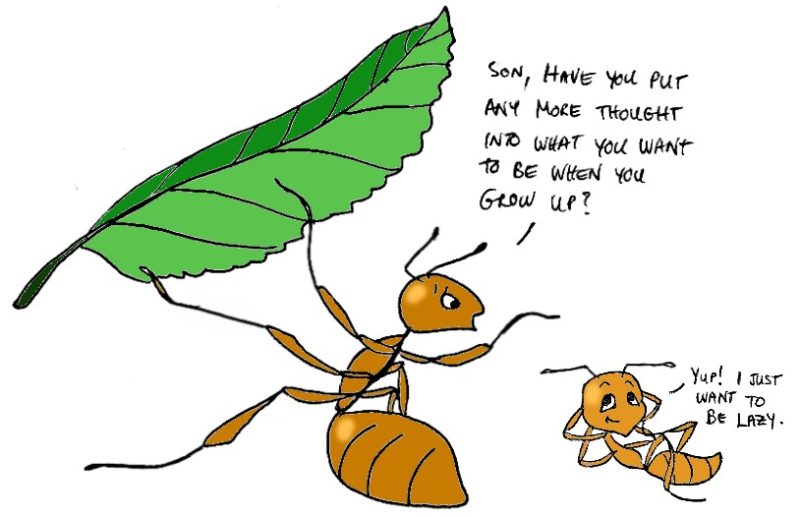 In The Game of life, Humans Need to Take a Page Out Of The Ants’ Play Book.