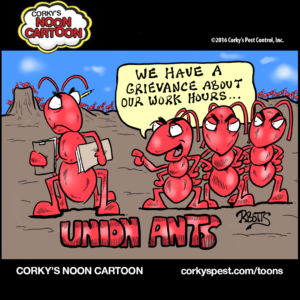union-ants-jpeg
