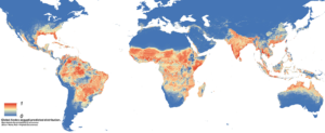 Global Aedes Map Prediction