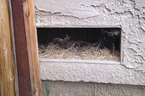 Vent Nest