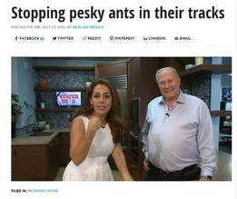 Spotting pesky ants in their tracks - Corky's