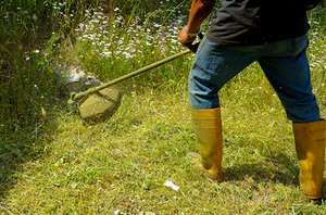 Trimming Weeds
