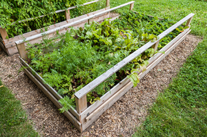Planter