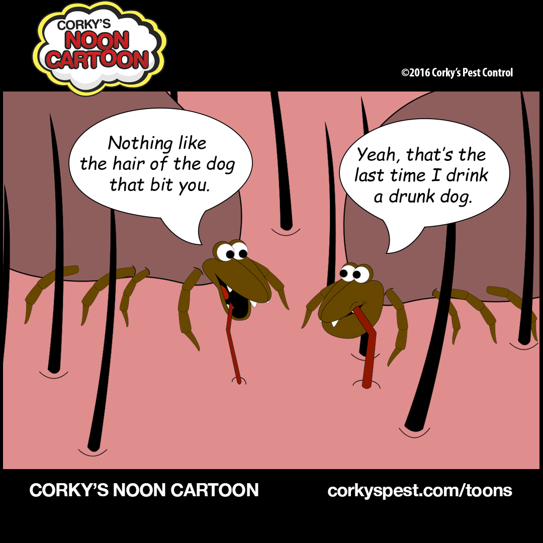 Ticks00002 - Corky's Pest Control Services & Termite Services in San ...