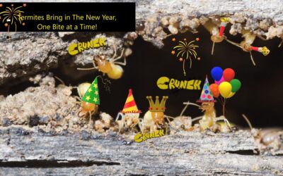 It’s, “Party On” for Termites!