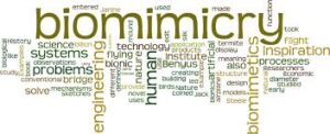 Biomimicry banner