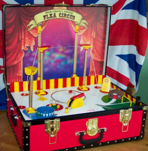 Flea Circus in case