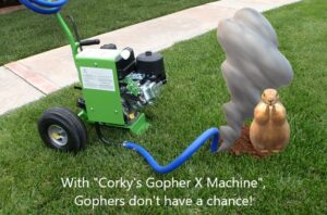 gopher-x-machine-and-gopher-for-blog