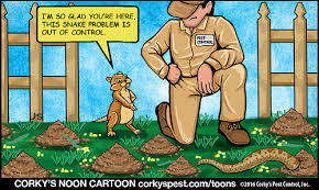 gopher-and-snakes-cartoon