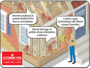 radar-detecting-termites-in-house-interior-view-cartoon