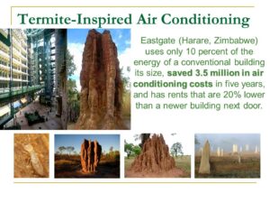 Termite inspired AirConditioning