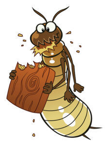 Cartoon termite eats piece of wood.