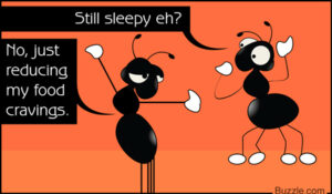 sleepy-ants