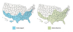 zika_maps_statenames_graphic