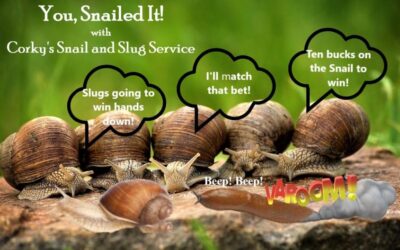 Snails and Slugs:  Slow, But Sure to Ruin Your Garden!