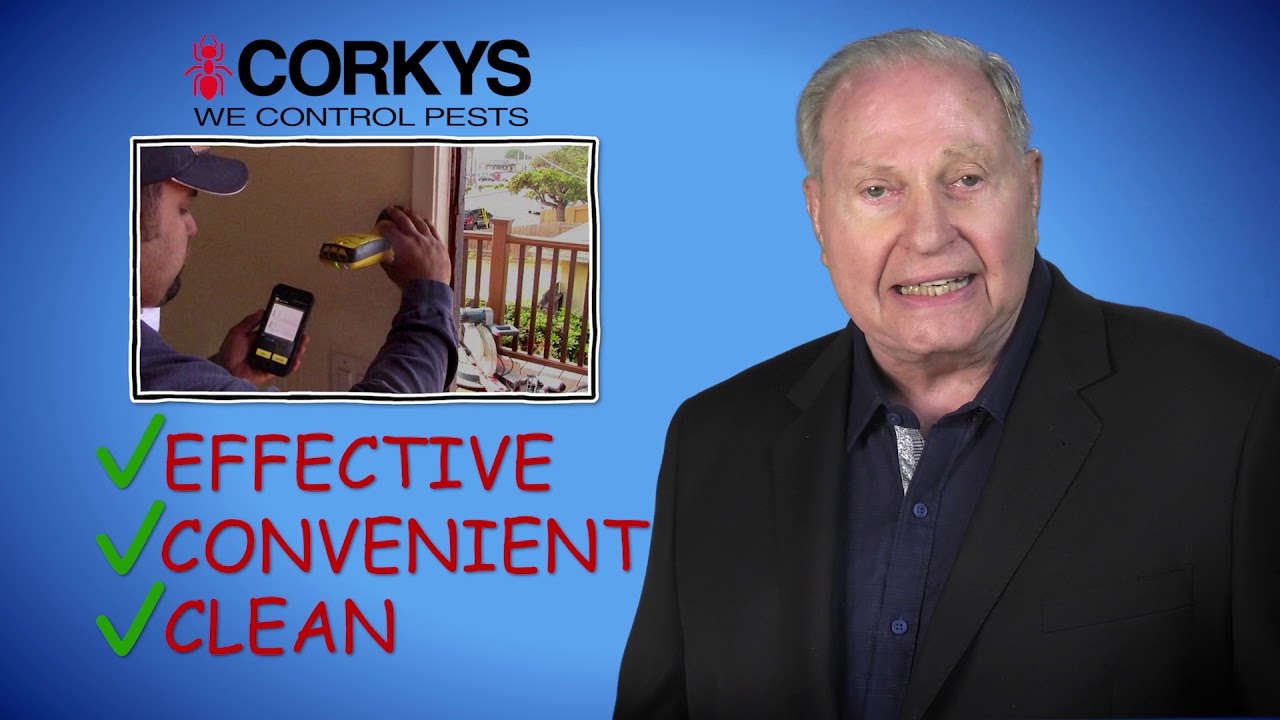 Corky's Pest Control - No Tent- Termite Radar Remedy - YouTube