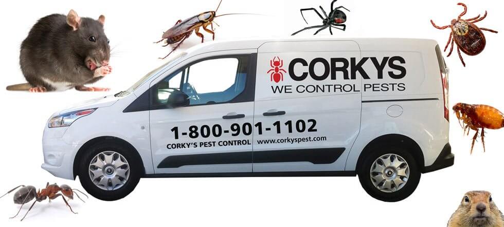 Ant Pest Control Cheap Sales Save 47 Jlcatj gob mx