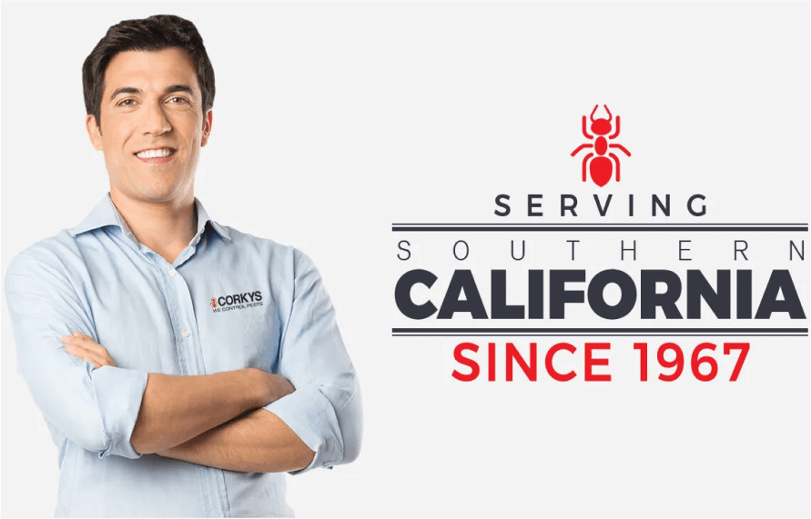 Serving Southern California Since 1967